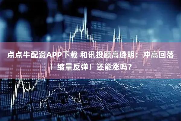 点点牛配资APP下载 和讯投顾高璐明：冲高回落！缩量反弹！还能涨吗？