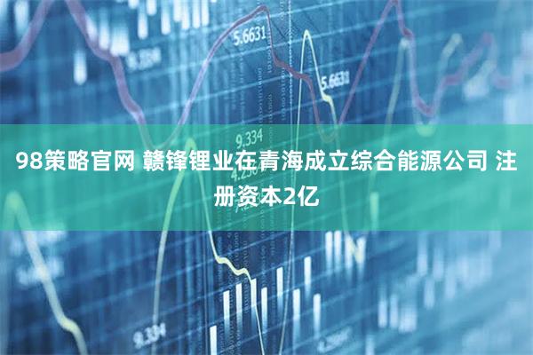 98策略官网 赣锋锂业在青海成立综合能源公司 注册资本2亿