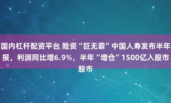 国内杠杆配资平台 险资“巨无霸”中国人寿发布半年报，利润同比增6.9%，半年“增仓”1500亿入股市