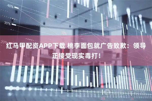 红马甲配资APP下载 桃李面包就广告致歉：领导正接受现实毒打！